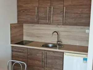 Pronájem bytu 1+kk, Ostrava - Moravská Ostrava, Lechowiczova, 30 m2