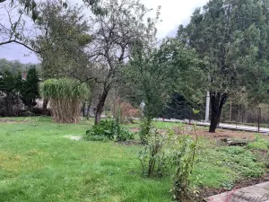 Pronájem rodinného domu, Ostrava - Michálkovice, Rajská, 200 m2