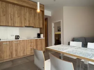 Prodej apartmánu, Dolní Morava, 44 m2