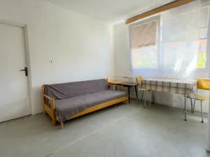 Prodej bytu 1+1, Plzeň - Bolevec, Sokolovská, 36 m2