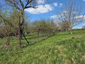 Prodej zahrady, Křenovice, 4967 m2