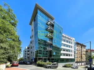 Pronájem bytu 1+kk, Praha, Hartigova, 28 m2