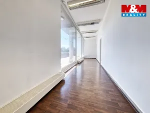 Pronájem obchodního prostoru, Písek, Čechova, 53 m2