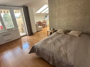 Pronájem bytu 1+kk, Slapy, 31 m2