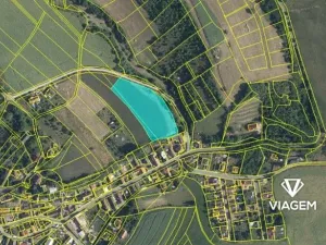 Prodej pole, Kochánky, 7918 m2