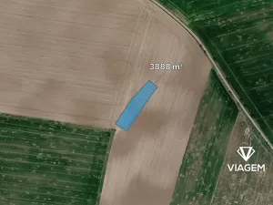 Prodej podílu pole, Trojovice, 1944 m2