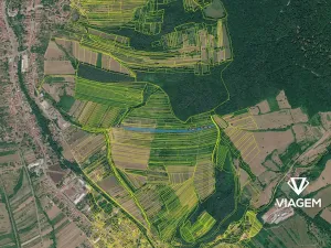 Prodej podílu pole, Velká nad Veličkou, 4729 m2