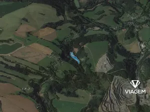 Prodej podílu lesa, Stružinec, 4813 m2