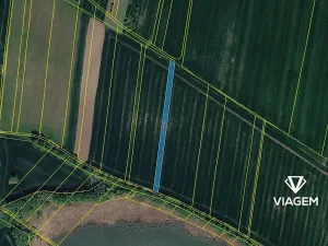 Prodej pole, Miroslav, 2572 m2