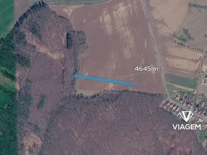 Prodej podílu pole, Dobrkovice, 2903 m2