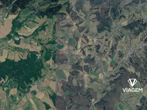 Prodej podílu pole, Dobrkovice, 6411 m2