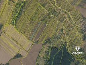Prodej podílu pole, Radějov, 1658 m2