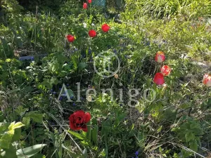 Prodej chaty, Netolice, 27 m2