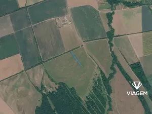 Prodej pole, Nivnice, 4902 m2