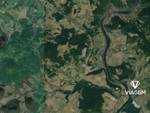 Prodej pole, Velemín, 4788 m2