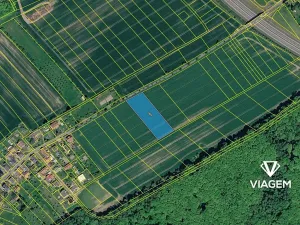 Prodej pole, Hrabyně, 4419 m2