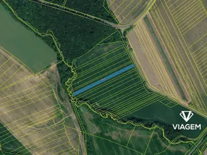 Prodej pole, Loukov, 2986 m2