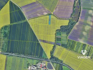 Prodej podílu pole, Sokolnice, 1127 m2