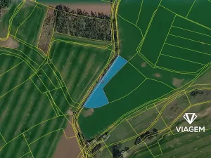 Prodej pole, Živanice, 6248 m2