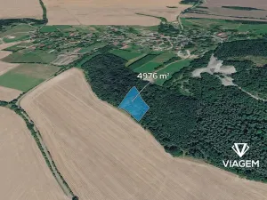 Prodej podílu lesa, Tachov, 2488 m2