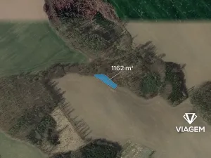 Prodej lesa, Heřmanice, 1162 m2
