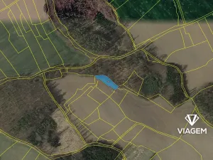 Prodej lesa, Heřmanice, 1162 m2