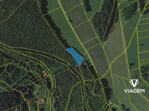 Prodej lesa, Loužnice, 2217 m2