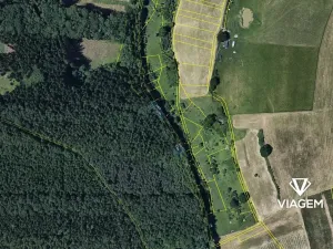 Prodej lesa, Komárov, 745 m2