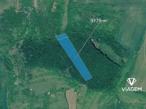 Prodej podílu lesa, Klobouky u Brna, 1086 m2