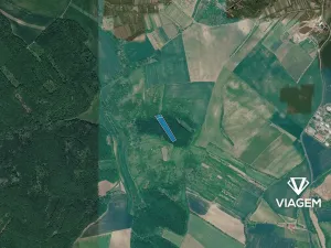 Prodej podílu lesa, Klobouky u Brna, 1086 m2