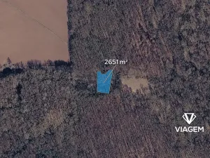 Prodej podílu lesa, Přerov nad Labem, 1325 m2