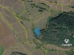 Prodej lesa, Nečín, 2595 m2