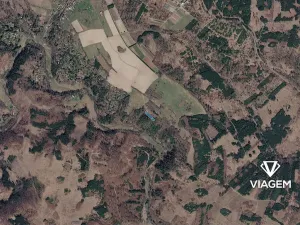 Prodej podílu lesa, Lipová, 827 m2