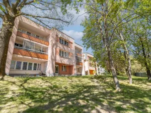 Prodej bytu 2+kk, Orlová - Lutyně, Květinová, 53 m2
