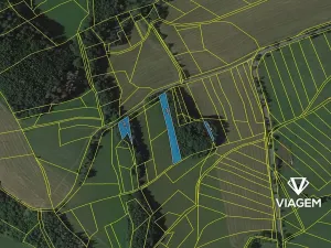 Prodej podílu lesa, Záhoří, 1554 m2