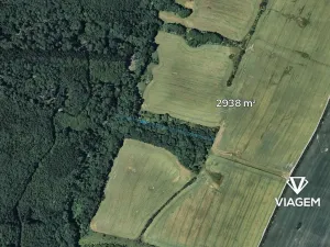 Prodej lesa, Šarovy, 2938 m2