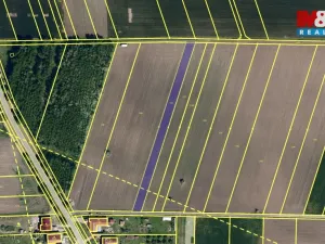 Prodej pole, Jevišovka, 2000 m2