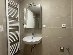 Pronájem bytu 1+kk, Plzeň, Kartónová, 39 m2