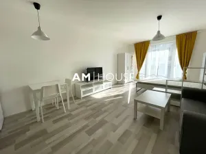 Pronájem bytu 1+kk, Praha - Strašnice, Zvěřinova, 38 m2