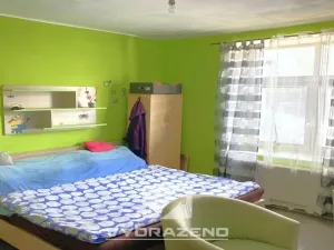 Prodej vícegeneračního domu, Brodek u Konice, 250 m2