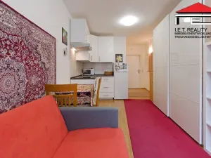 Pronájem bytu 1+kk, Praha - Libeň, Drahobejlova, 22 m2