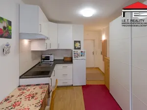 Pronájem bytu 1+kk, Praha - Libeň, Drahobejlova, 22 m2