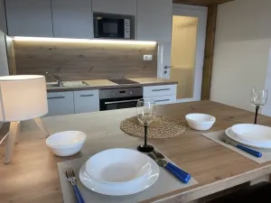 Pronájem bytu 1+kk, Ostrava - Přívoz, Palackého, 27 m2