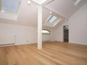 Pronájem atypického bytu, Praha - Bubeneč, U akademie, 120 m2