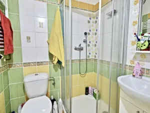 Pronájem bytu 1+1, Brno - Řečkovice, Sibiřská, 35 m2
