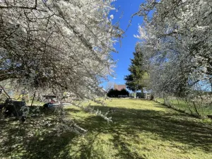 Prodej pozemku pro bydlení, Sušice, 383 m2
