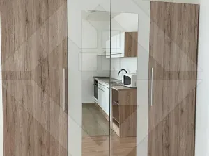 Pronájem bytu 1+kk, Praha - Žižkov, Olgy Havlové, 37 m2