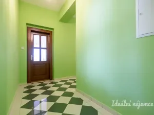 Pronájem bytu 2+1, České Budějovice - České Budějovice 1, Krajinská, 92 m2