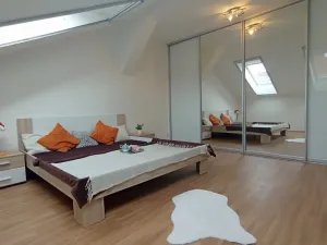 Pronájem bytu 3+kk, České Budějovice - České Budějovice 3, Riegrova, 70 m2