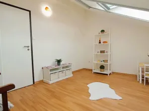 Pronájem bytu 3+kk, České Budějovice - České Budějovice 3, Riegrova, 70 m2